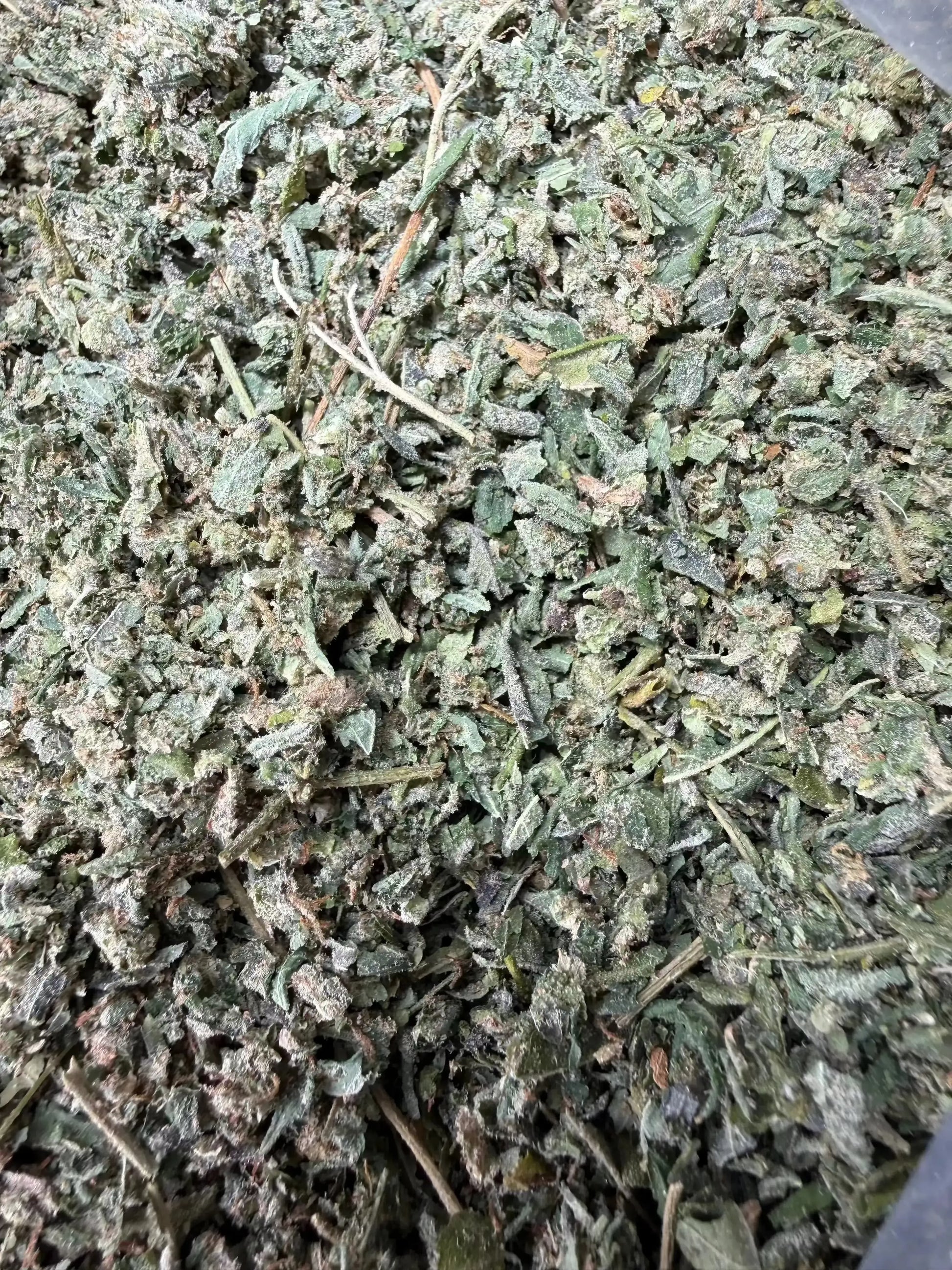 1 Pound Wholesale THCA Trim Shake Frisco Labs