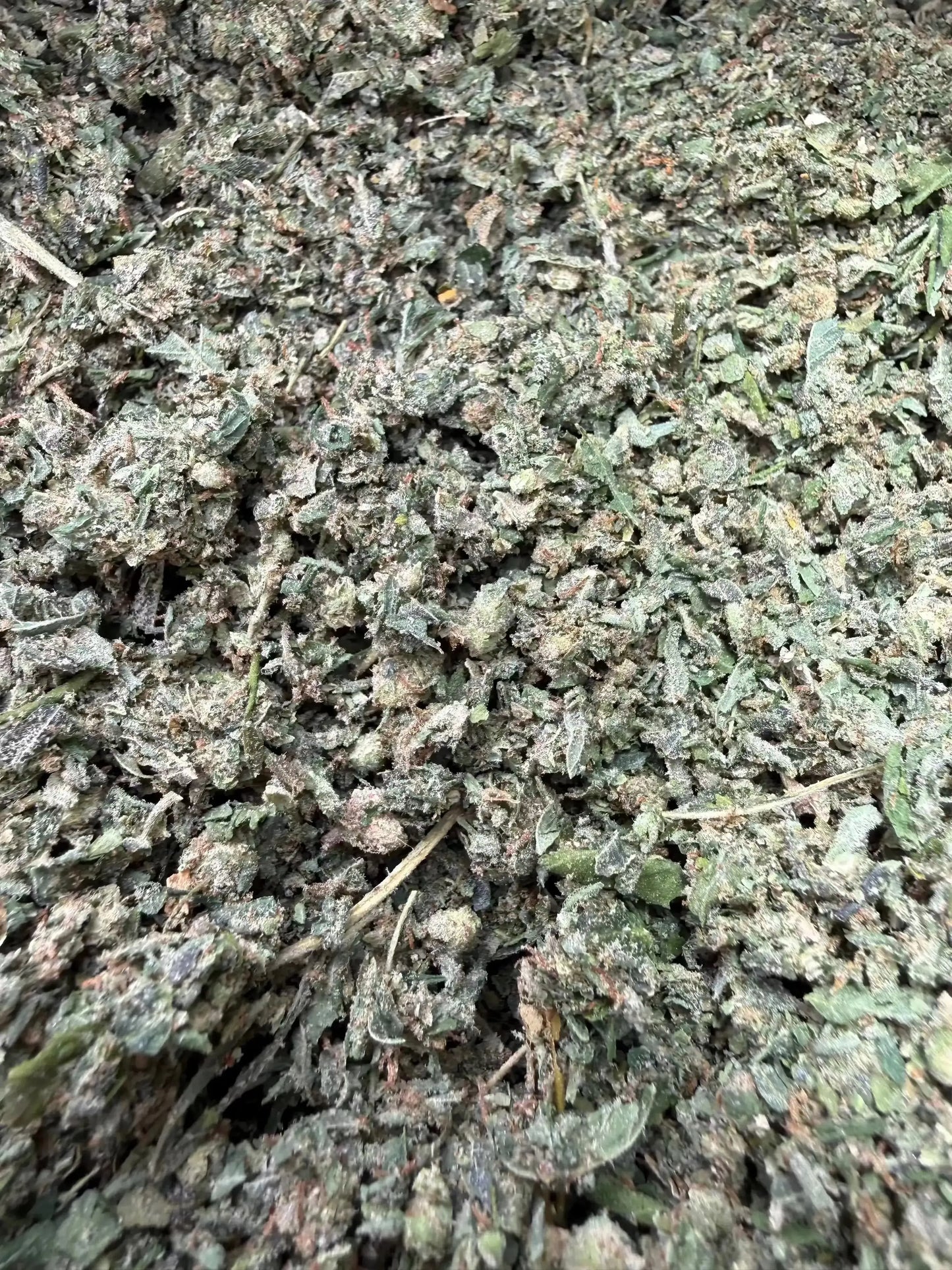 1 Pound Wholesale THCA Trim Shake Frisco Labs