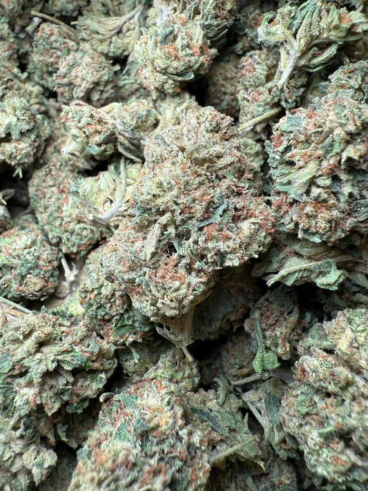 1 Pound Biscotti Sundae THCA FL Fulfillment Center
