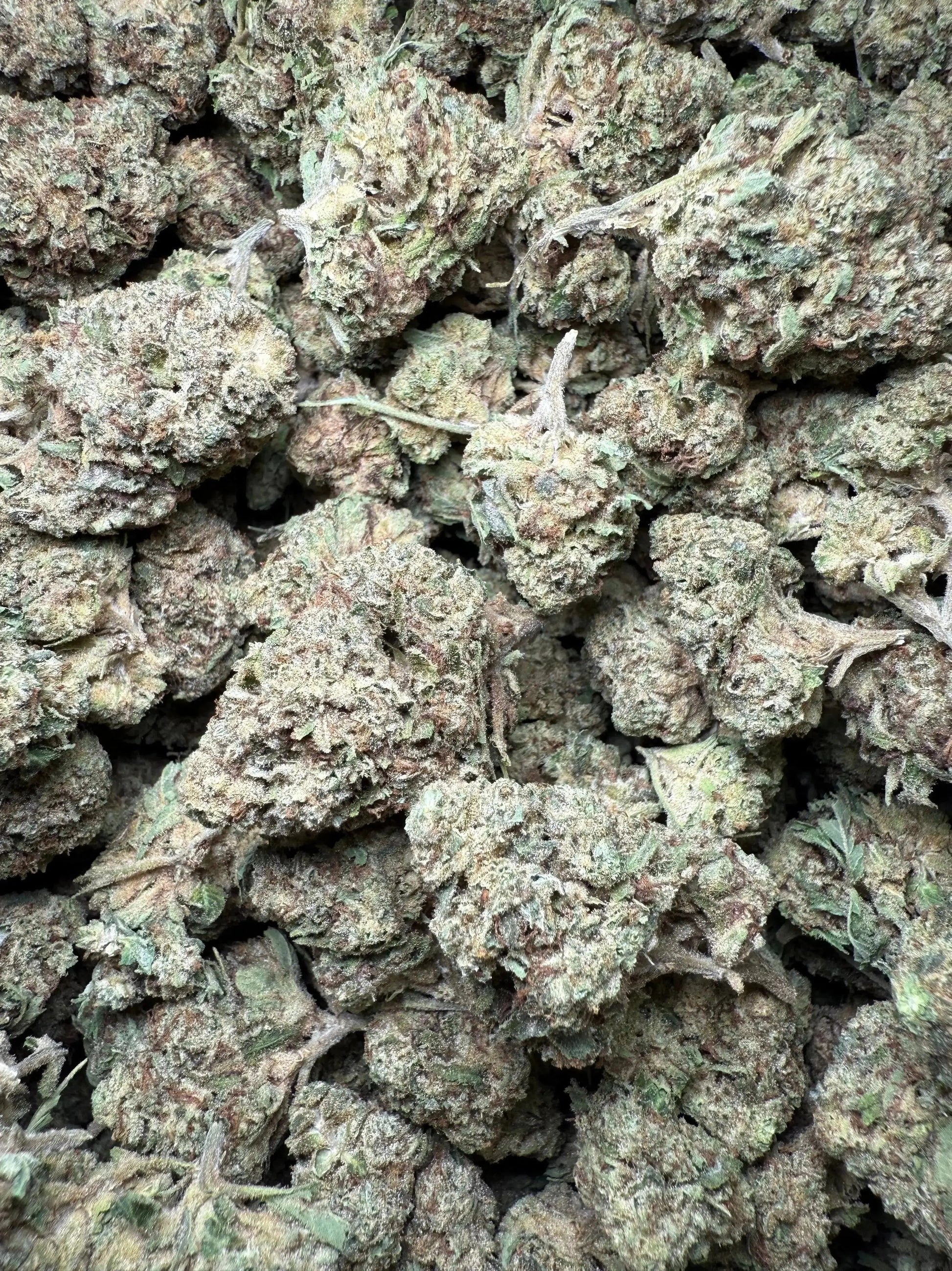 1 Pound Chocolate Kush THCA FL Fulfillment Center
