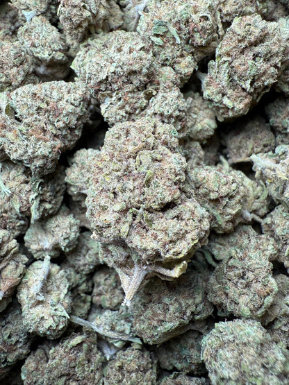 1 Pound Custard Cream THCA FL Fulfillment Center