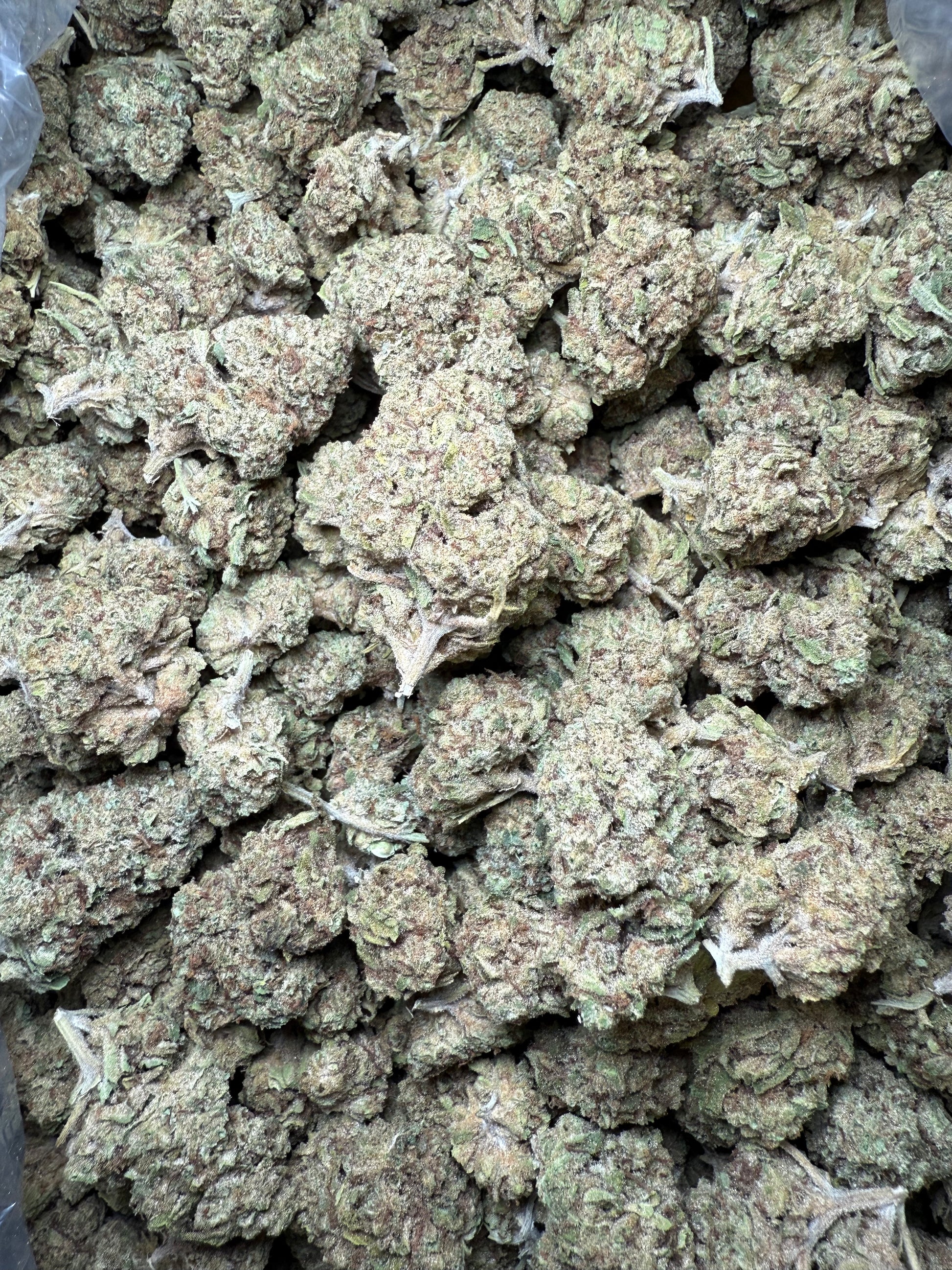 1 Pound Custard Cream THCA FL Fulfillment Center