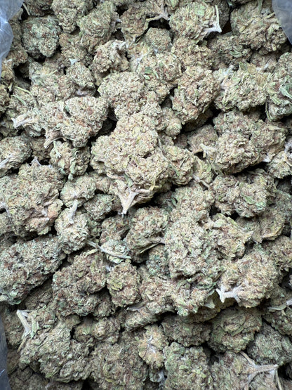1 Pound Custard Cream THCA FL Fulfillment Center