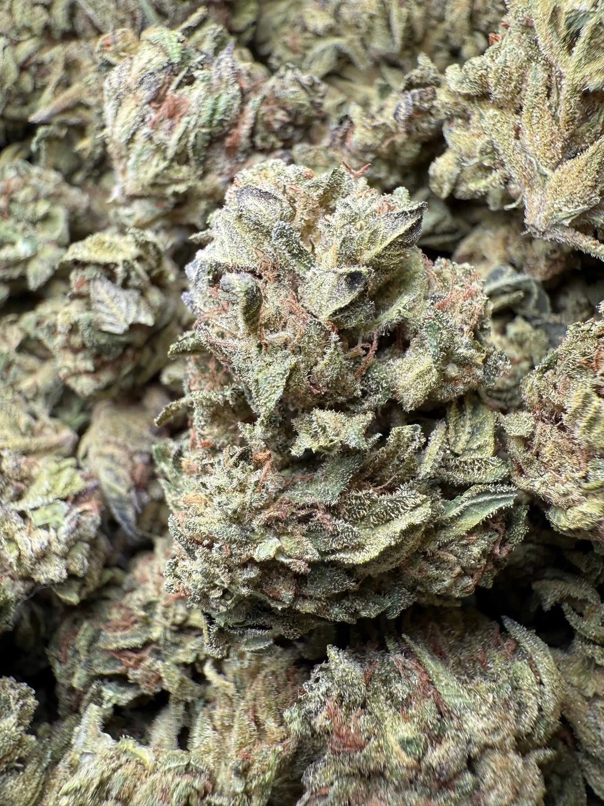 1/4 Pound  Lemon Cherry Gelato X Wedding Cake THCA - FL Fulfillment Center