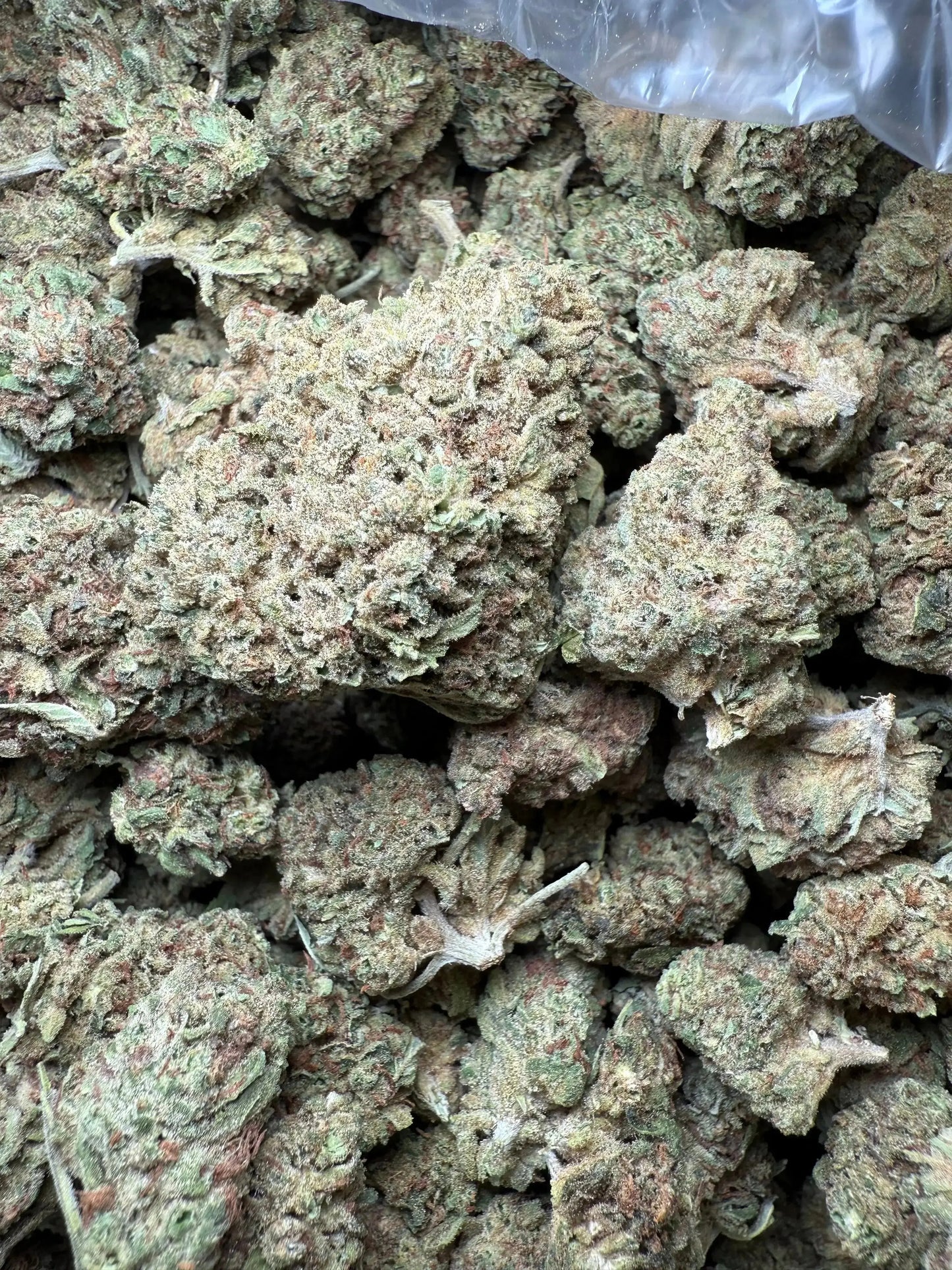 1 Pound Romulan Blueberry THCA FL Fulfillment Center