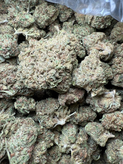 1 Pound Romulan Blueberry THCA FL Fulfillment Center