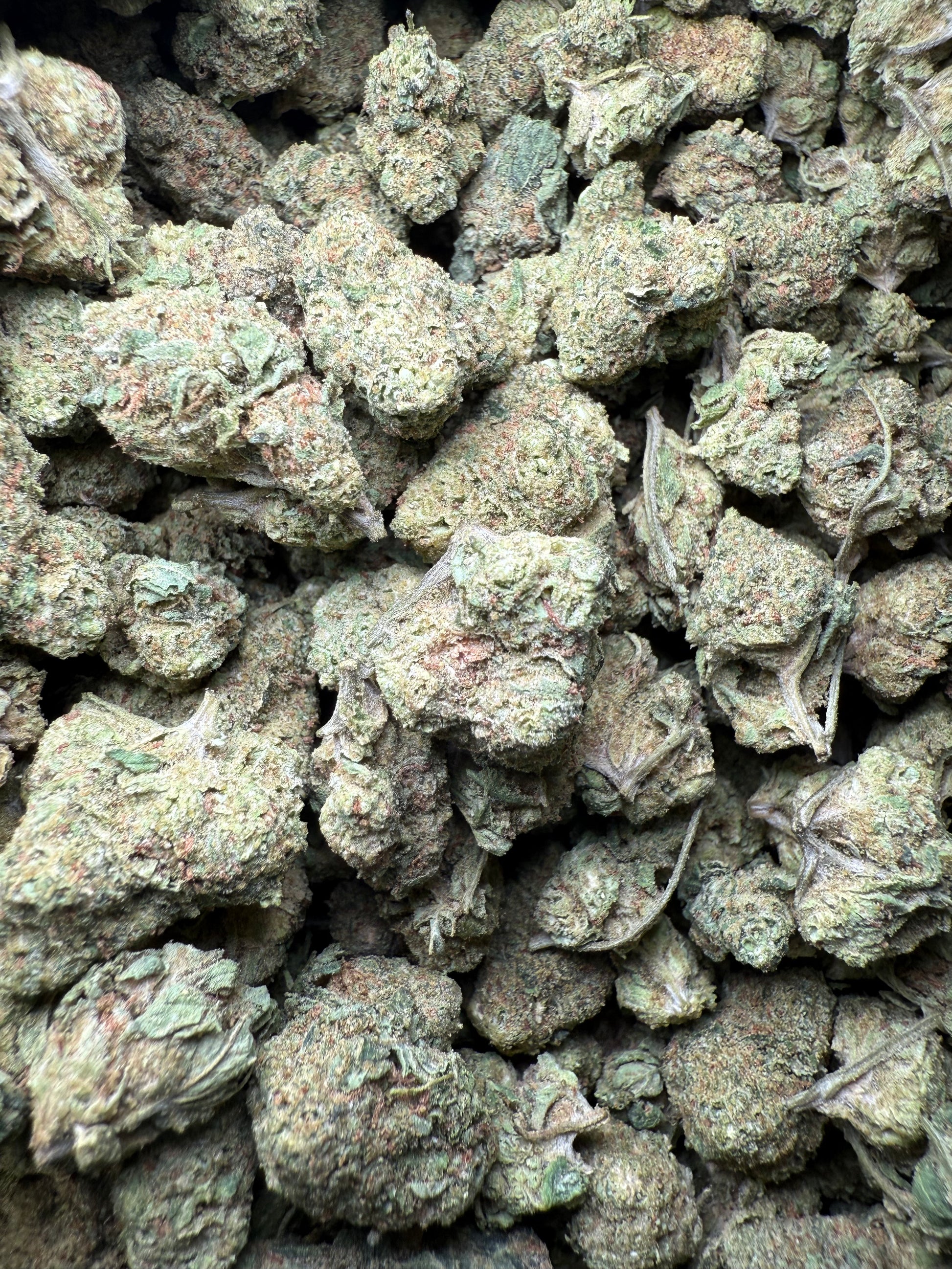 1 Pound - Zkittlez Kush THCA Strain Frisco Labs