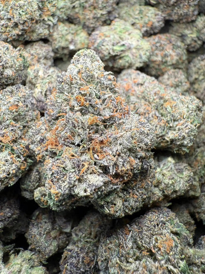 ½ oz AAA White Runtz (Indoor) FL Fulfillment Center