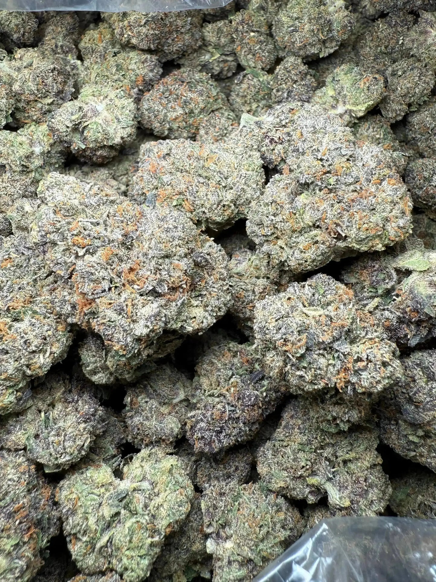 ½ oz AAA White Runtz (Indoor) FL Fulfillment Center