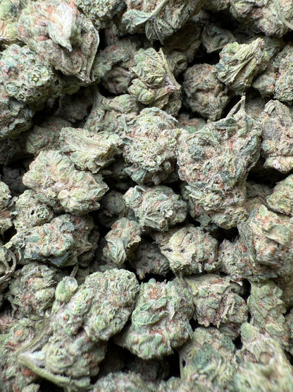1 Pound - Afgooey THCA Strain (Small) Frisco Labs