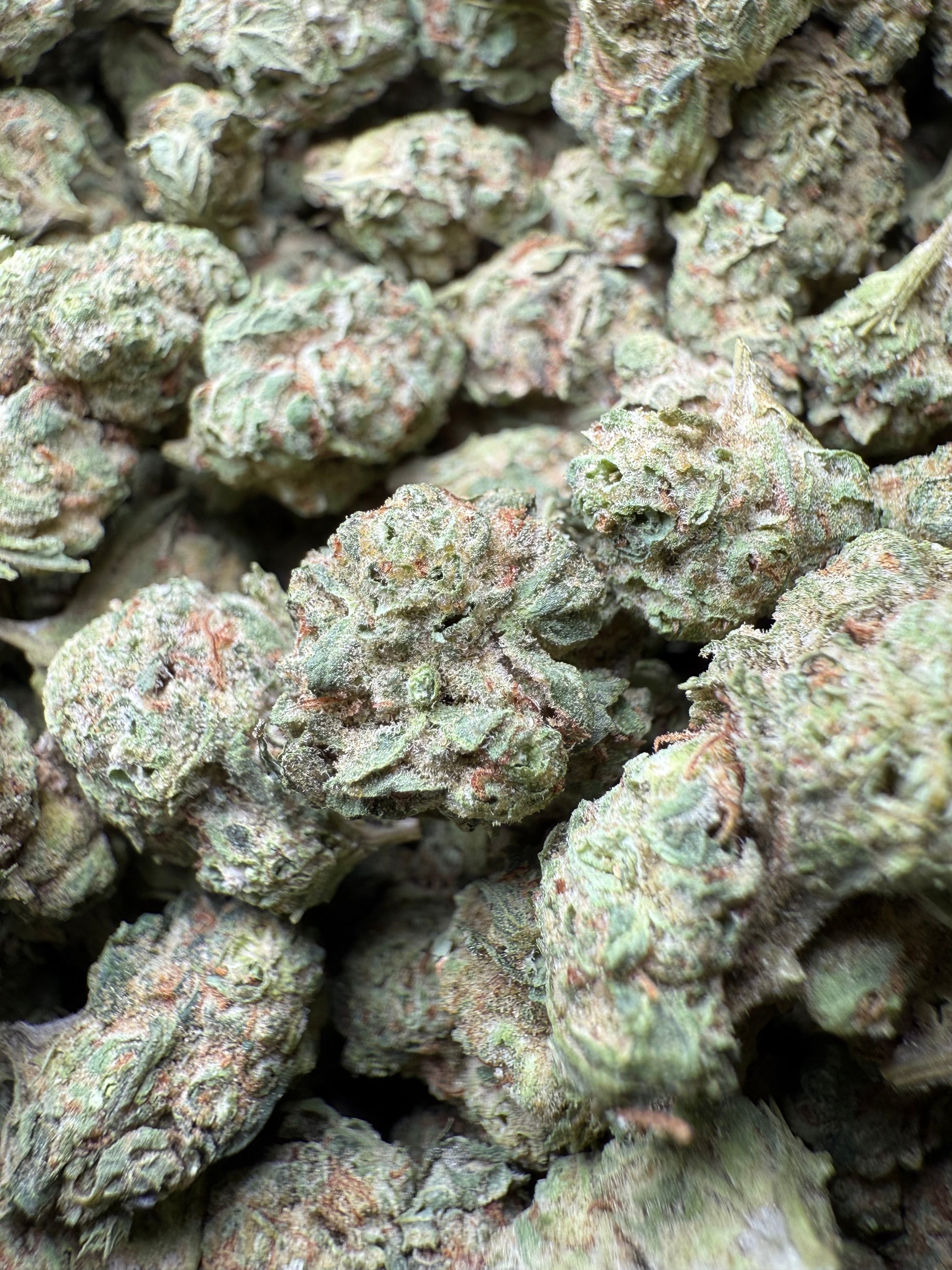 1 Pound - Afgooey THCA Strain (Small) Frisco Labs