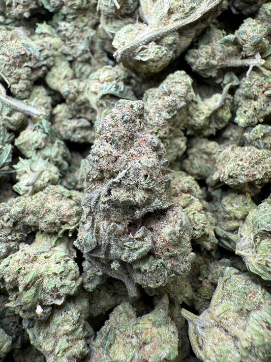 1 Pound - Double Burger THCA Strain (Small) Frisco Labs