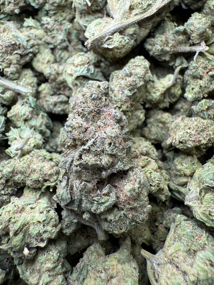 1 Pound - Double Burger THCA Strain (Small) Frisco Labs