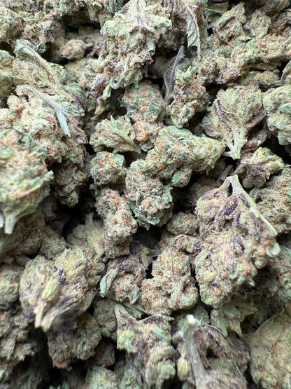 1 Pound - Double Burger THCA Strain (Small) Frisco Labs