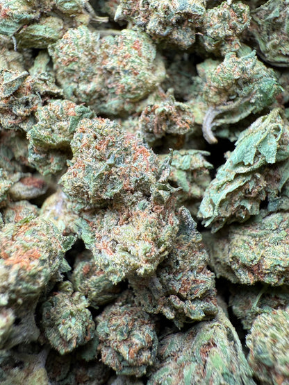 1 Pound - Fruity Pebbles OG THCA Strain (Small) Frisco Labs