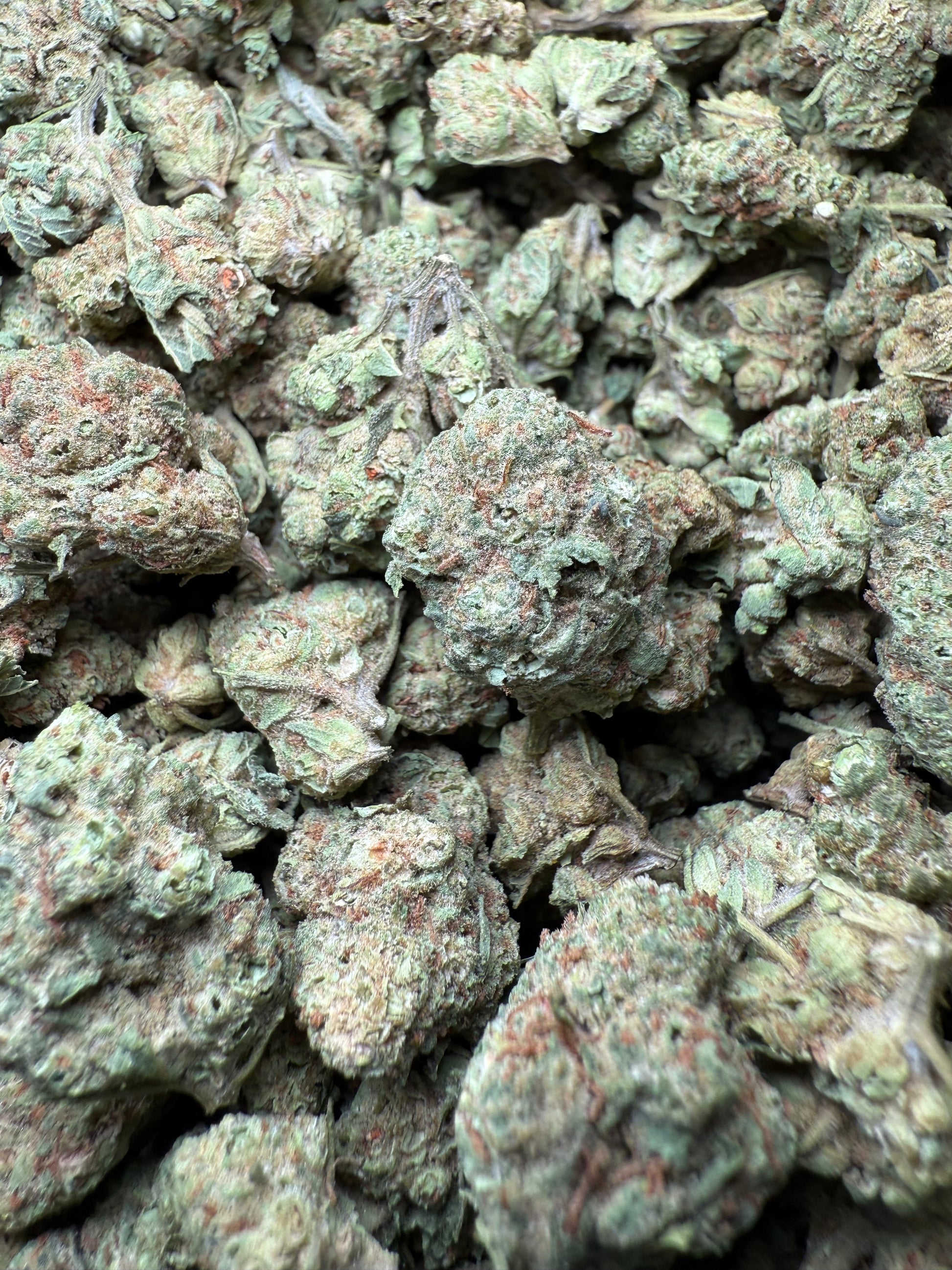 1 Pound - Peach Mimosa THCA Strain (Small) Frisco Labs