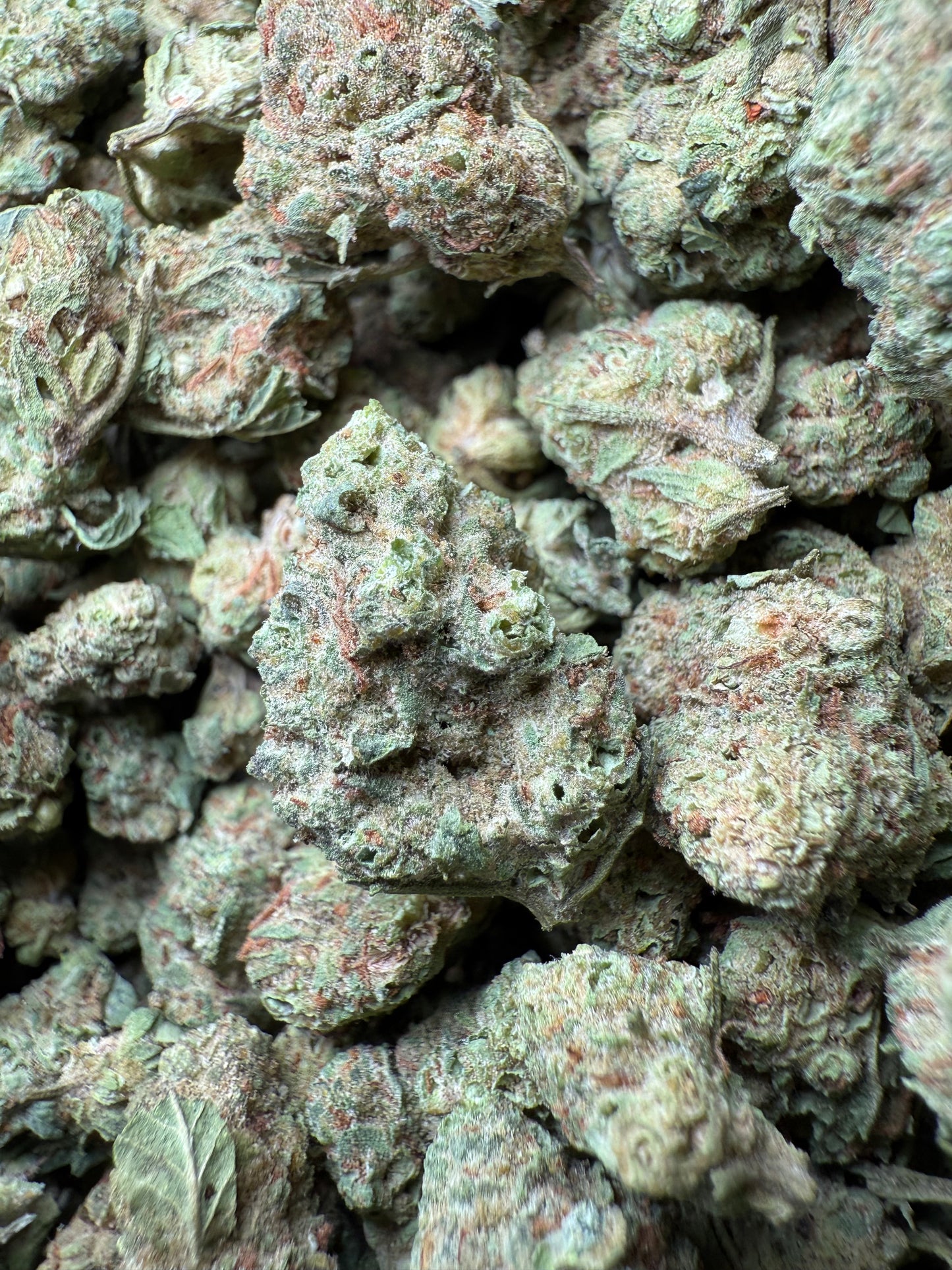 1 Pound - Peach Mimosa THCA Strain (Small) Frisco Labs