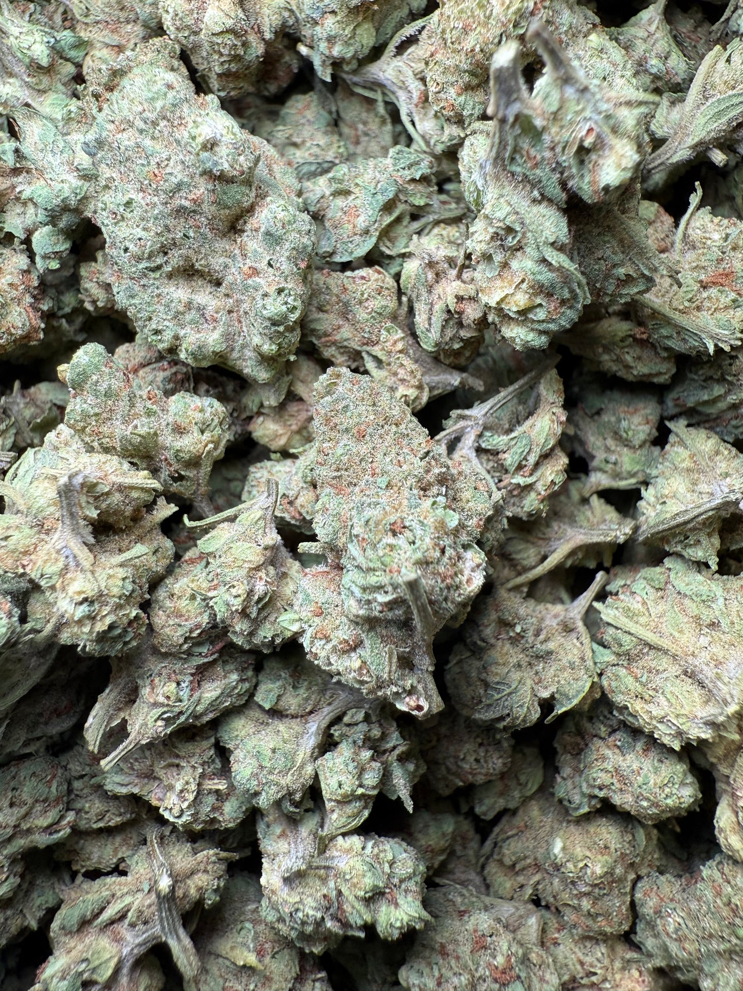 1 Pound - Peach Mimosa THCA Strain (Small) Frisco Labs