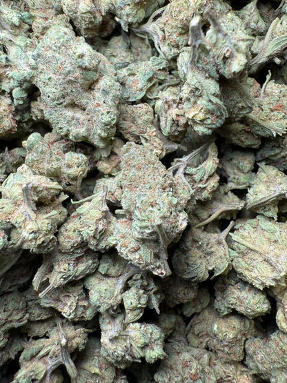 1 Pound - Peach Mimosa THCA Strain (Small) Frisco Labs