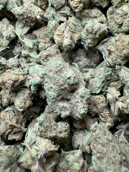1 Pound - Peach Mimosa THCA Strain (Small) Frisco Labs
