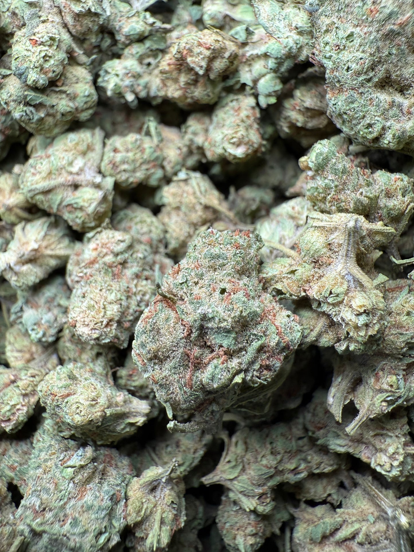 1 Pound - Peach Mimosa THCA Strain (Small) Frisco Labs
