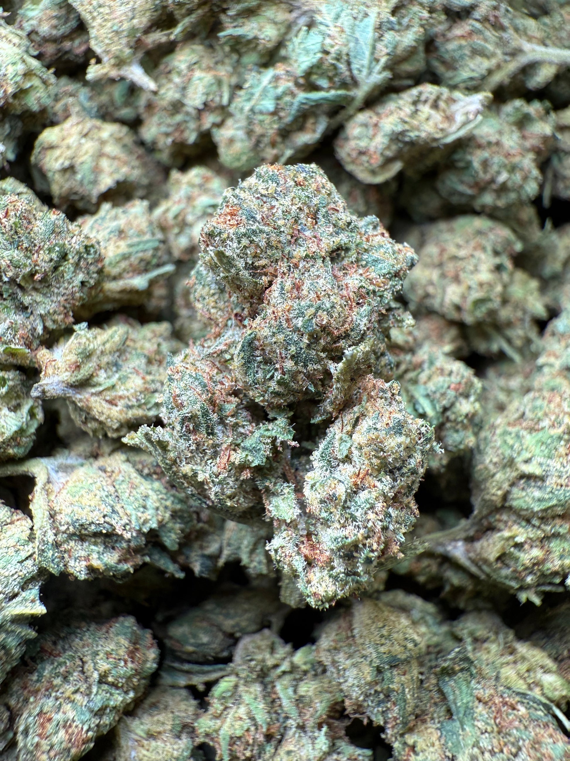 1 Pound - Frozen Lemons THCA Strain (Smalls) Frisco Labs