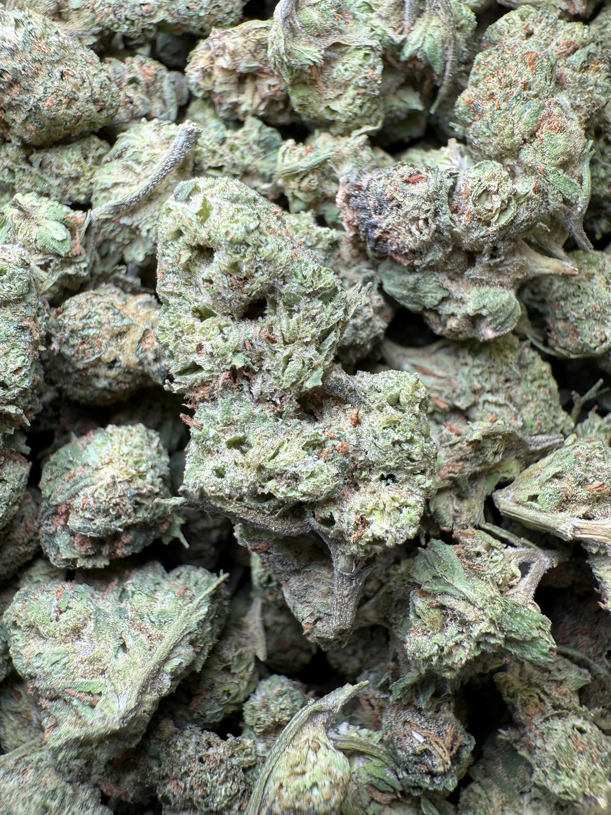 1 Pound - LA Push Pops THCA Strain (Smalls) Frisco Labs