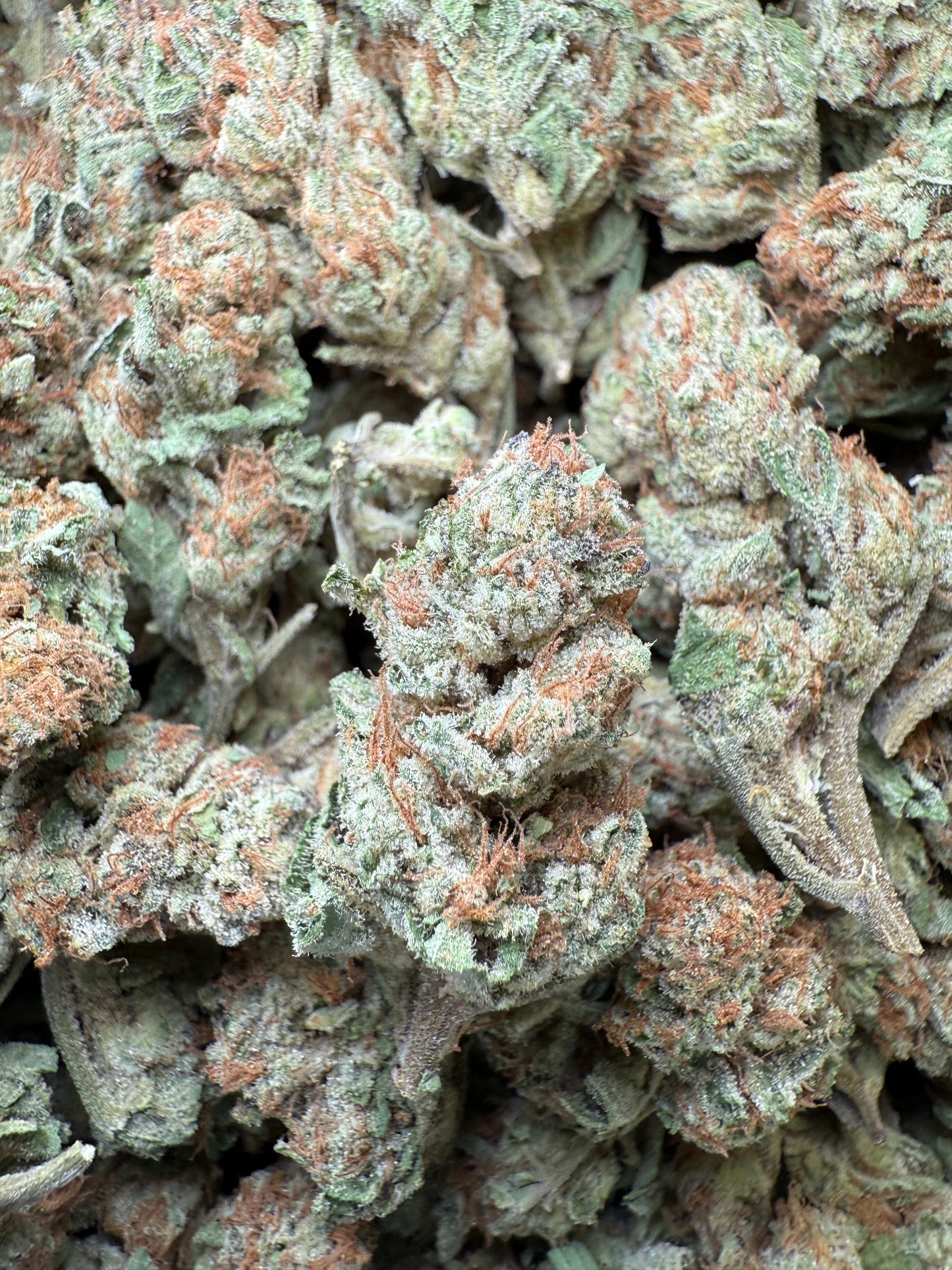 1 Pound - Wedding Cake THCA Strain Frisco Labs