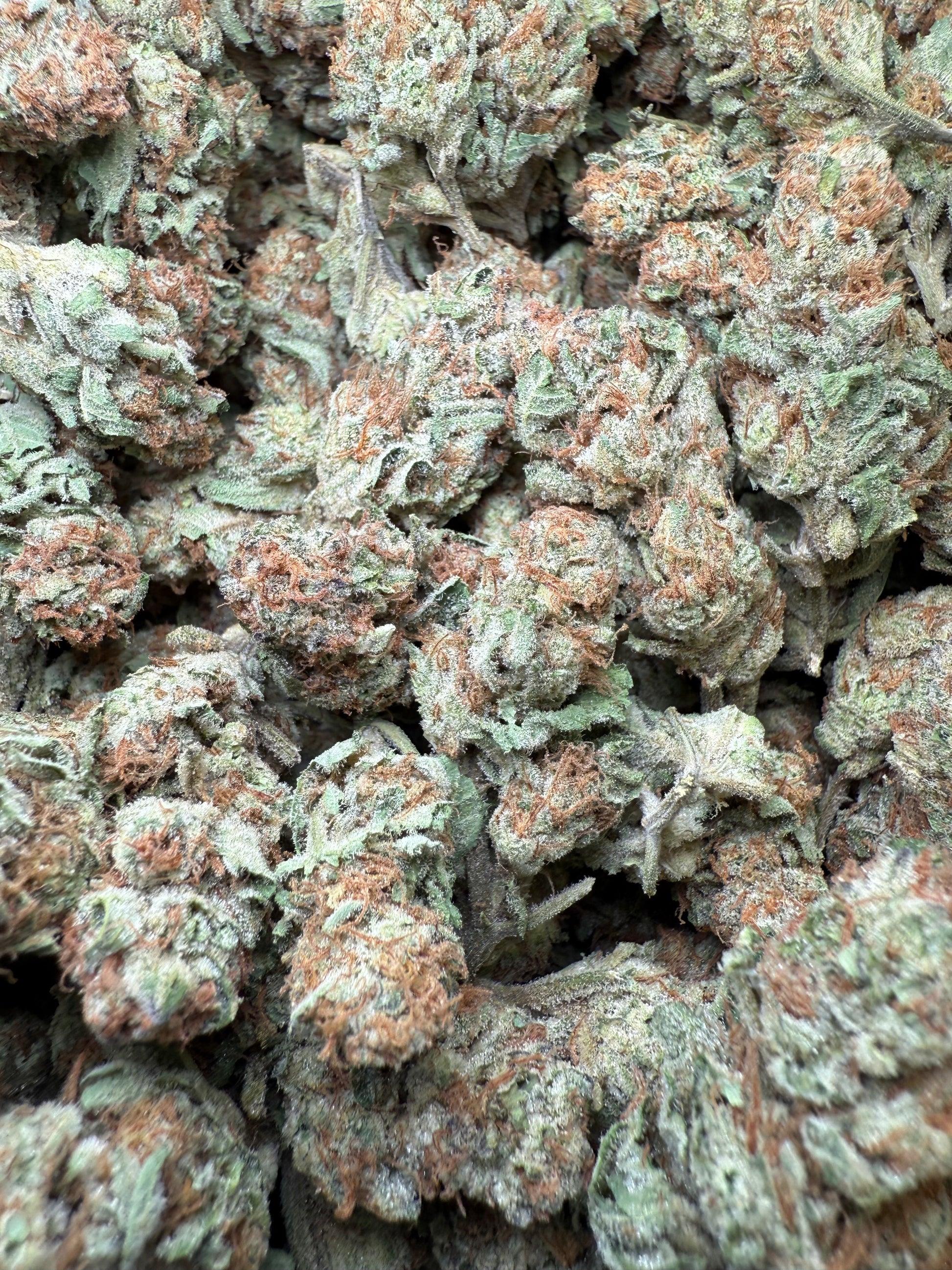 1 Pound - Wedding Cake THCA Strain Frisco Labs
