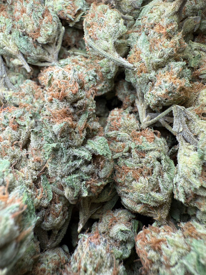 1 Pound - Wedding Cake THCA Strain Frisco Labs