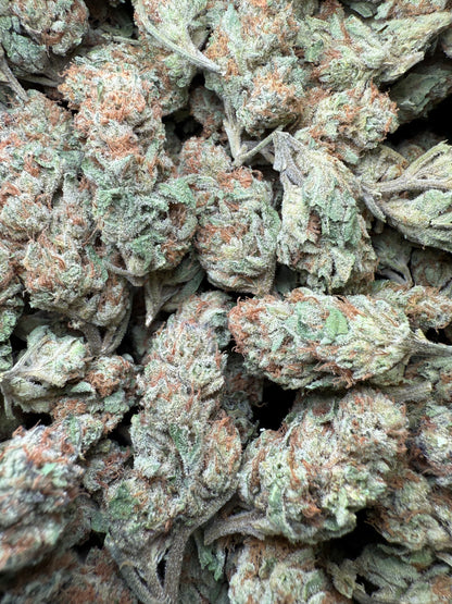 1 Pound - Wedding Cake THCA Strain Frisco Labs