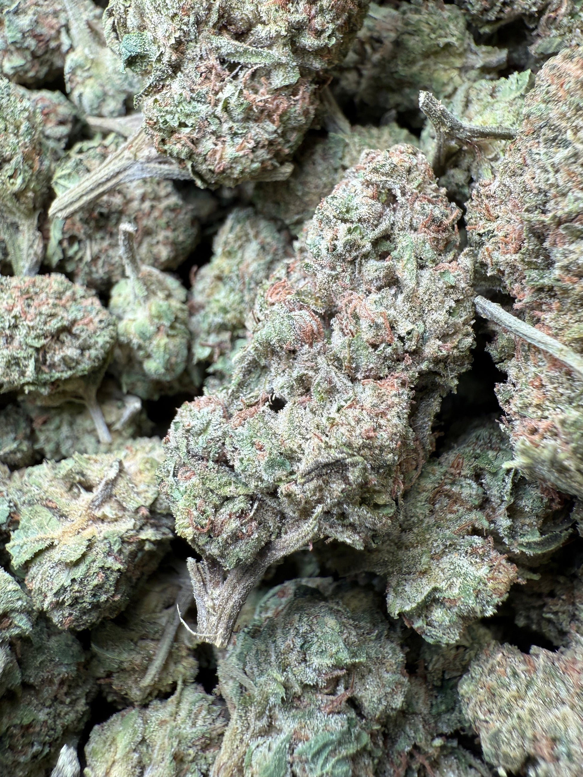1 Pound – Mendo Montage THCA Flower Frisco Labs