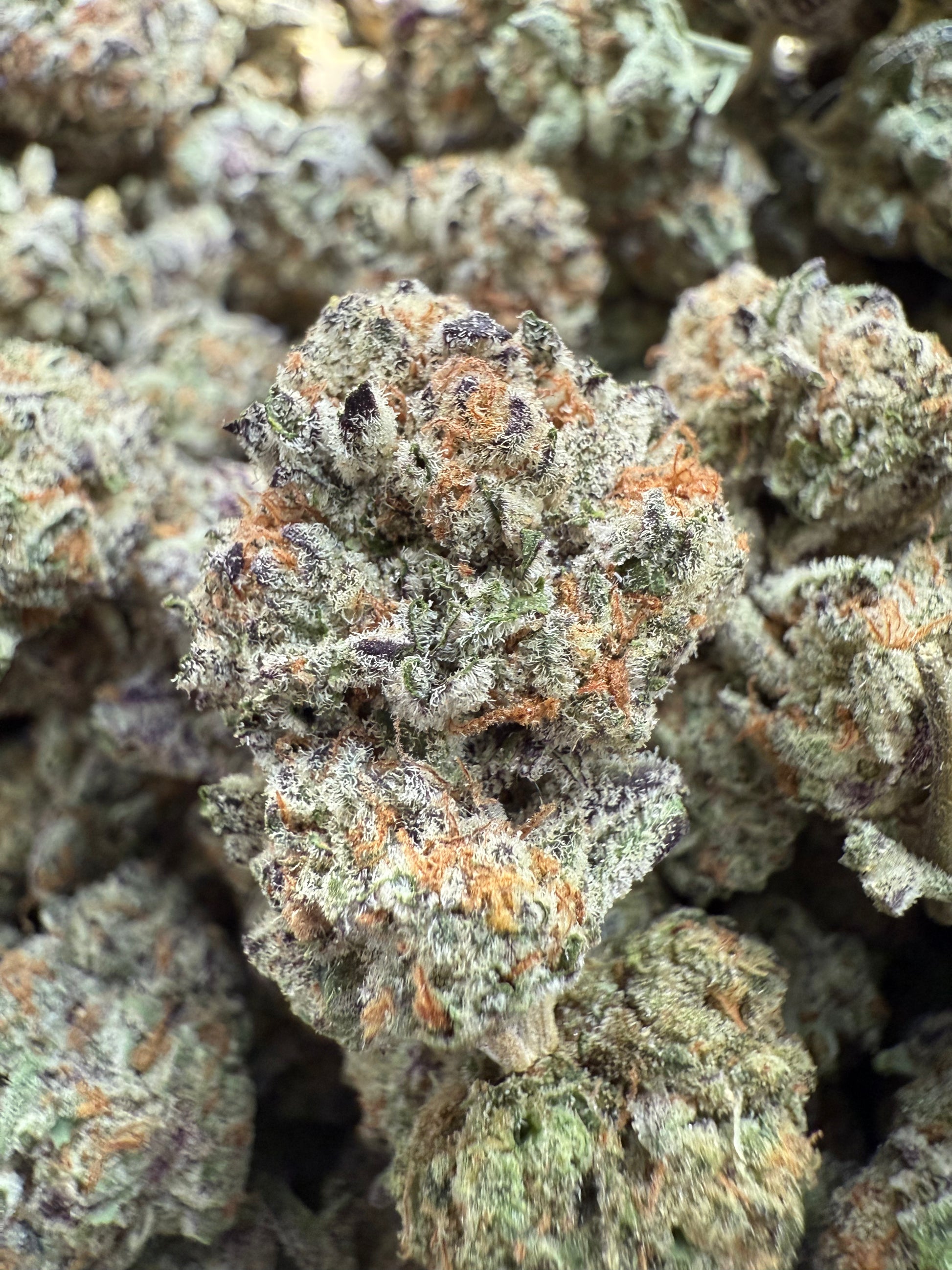 1 Pound AAA Apple Tartz THCA FL Fulfillment Center