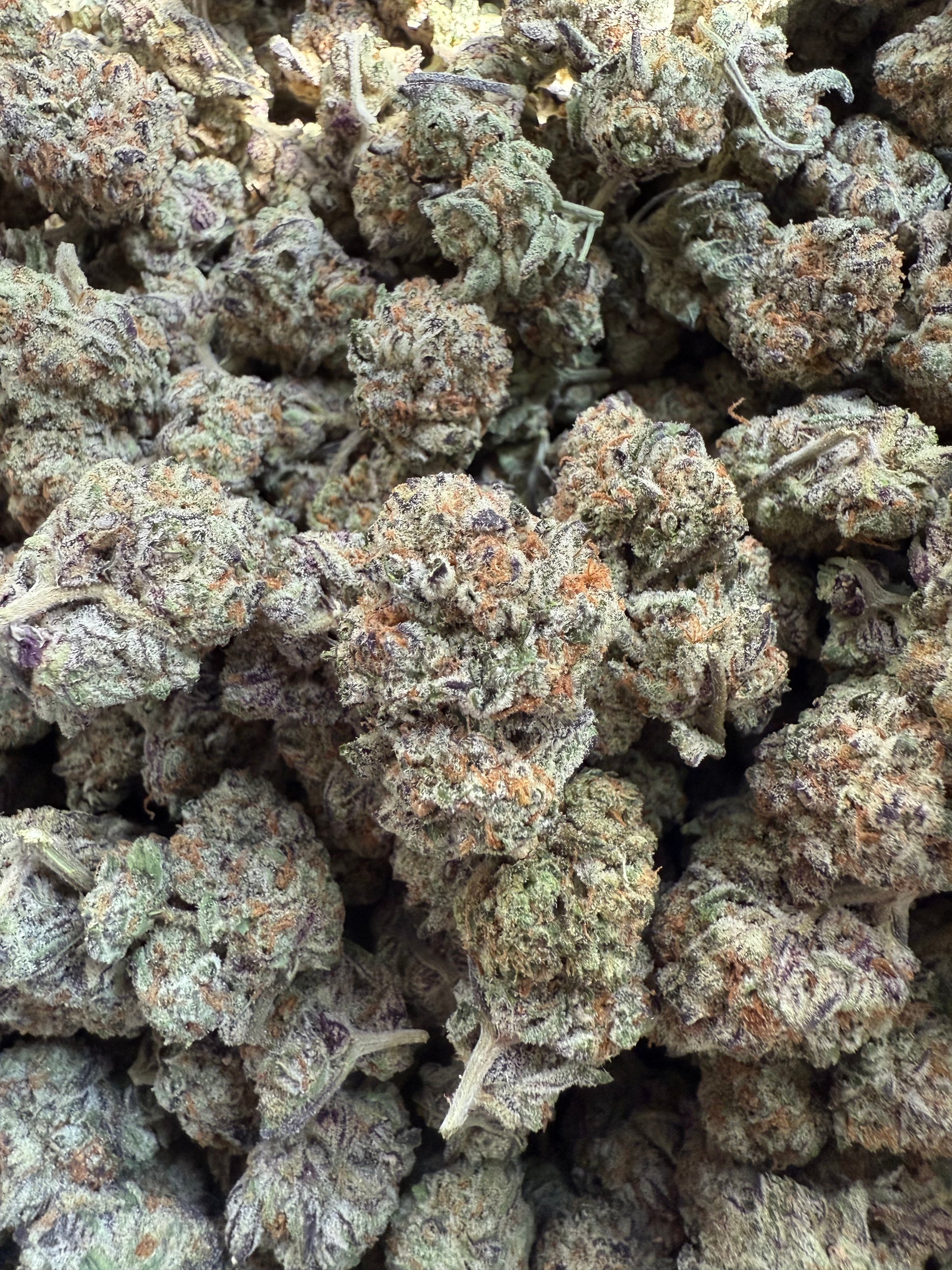 (1 Pound AAA Apple Tartz THCA Small - FL Fulfillment Center
