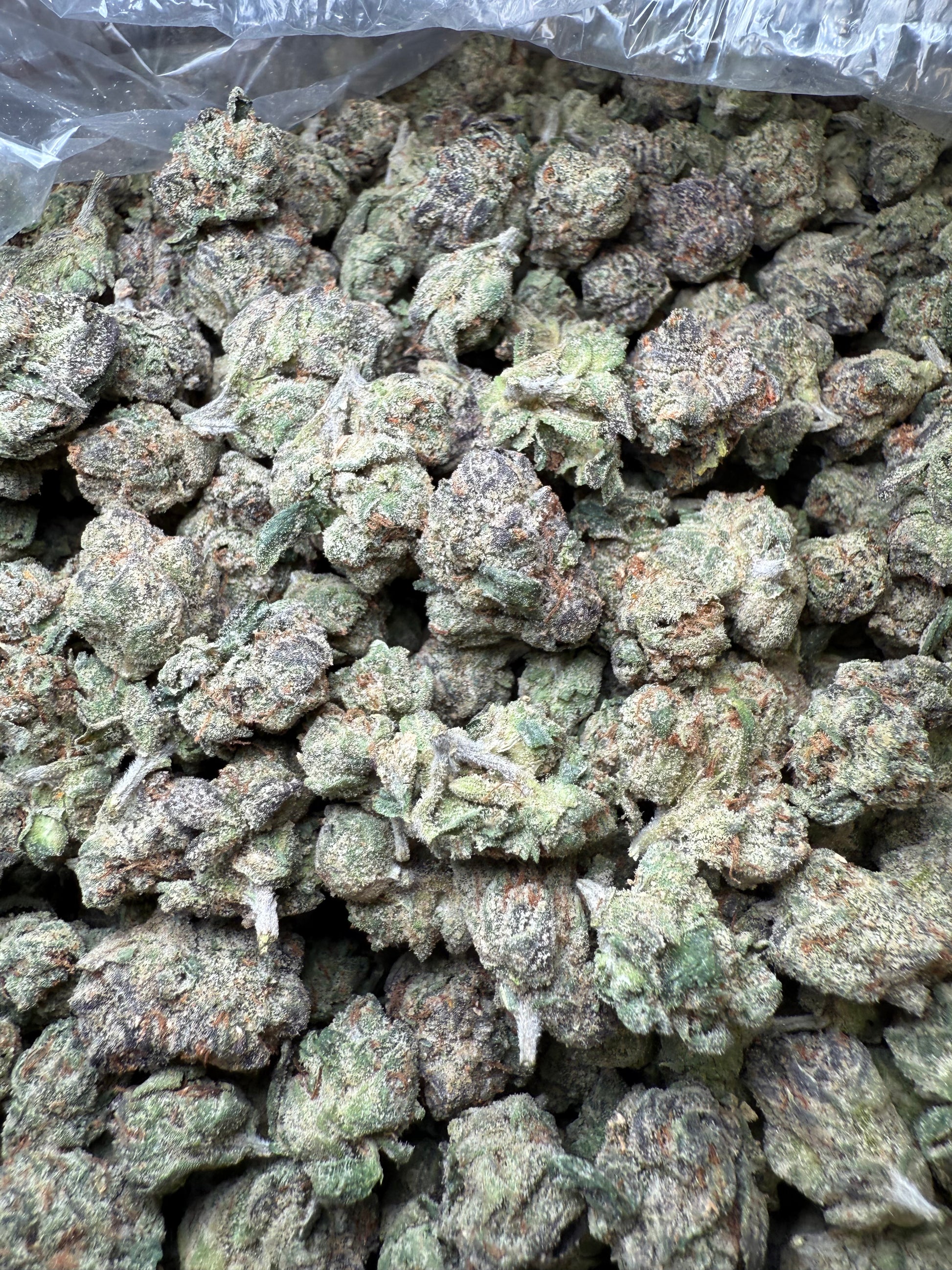 1 Pound - AAA Blue Nerdz Small FL Fulfillment Center