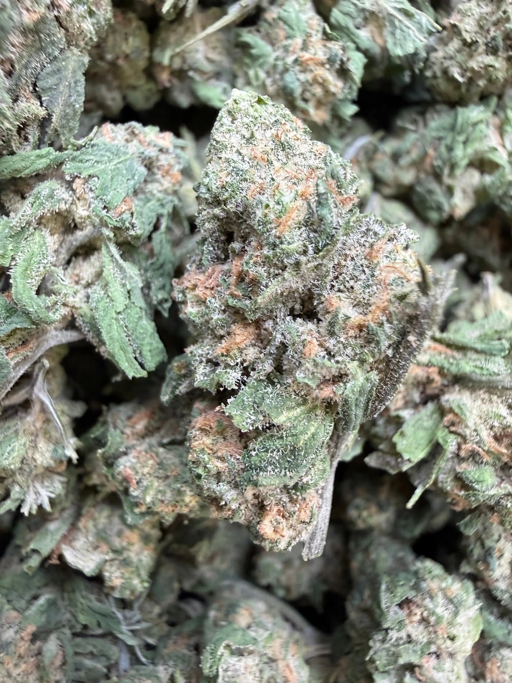 1 Pound - AAA Blue Nerdz Small FL Fulfillment Center