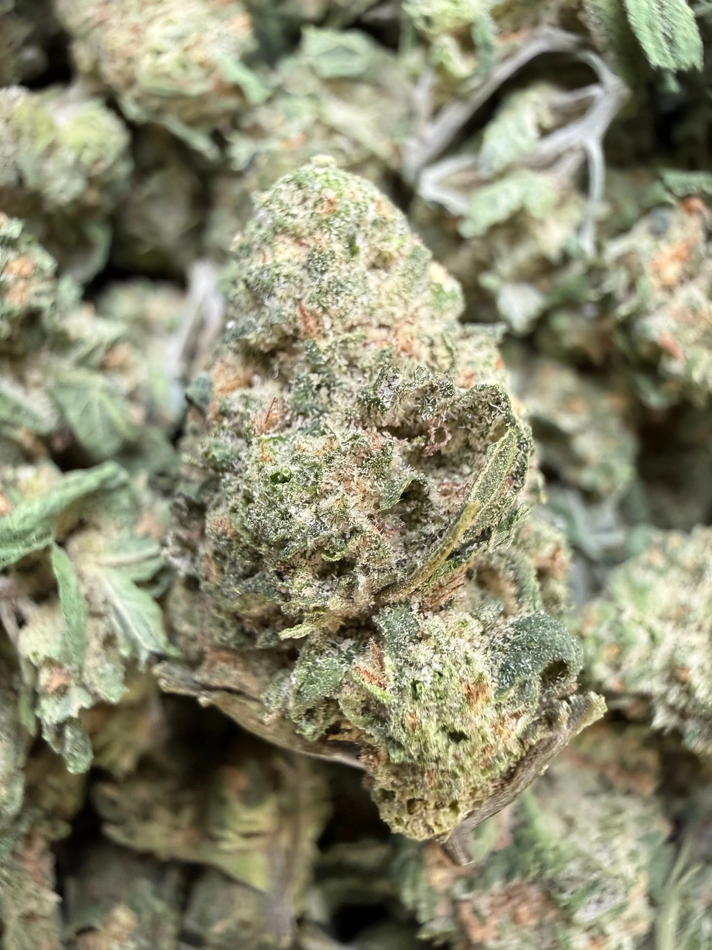 1 Pound - AAA Blue Nerdz Small FL Fulfillment Center