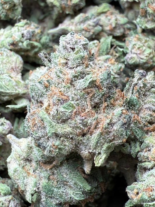 1 Pound - AAA Candy Rain THCA Strain (Small) Frisco Labs