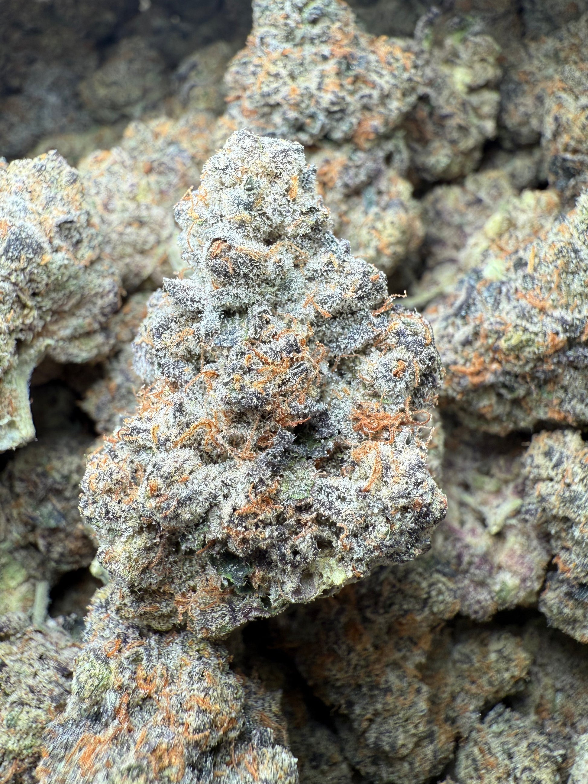 1 Pound AAA - Carbon Fiber THCA Strain Frisco Labs