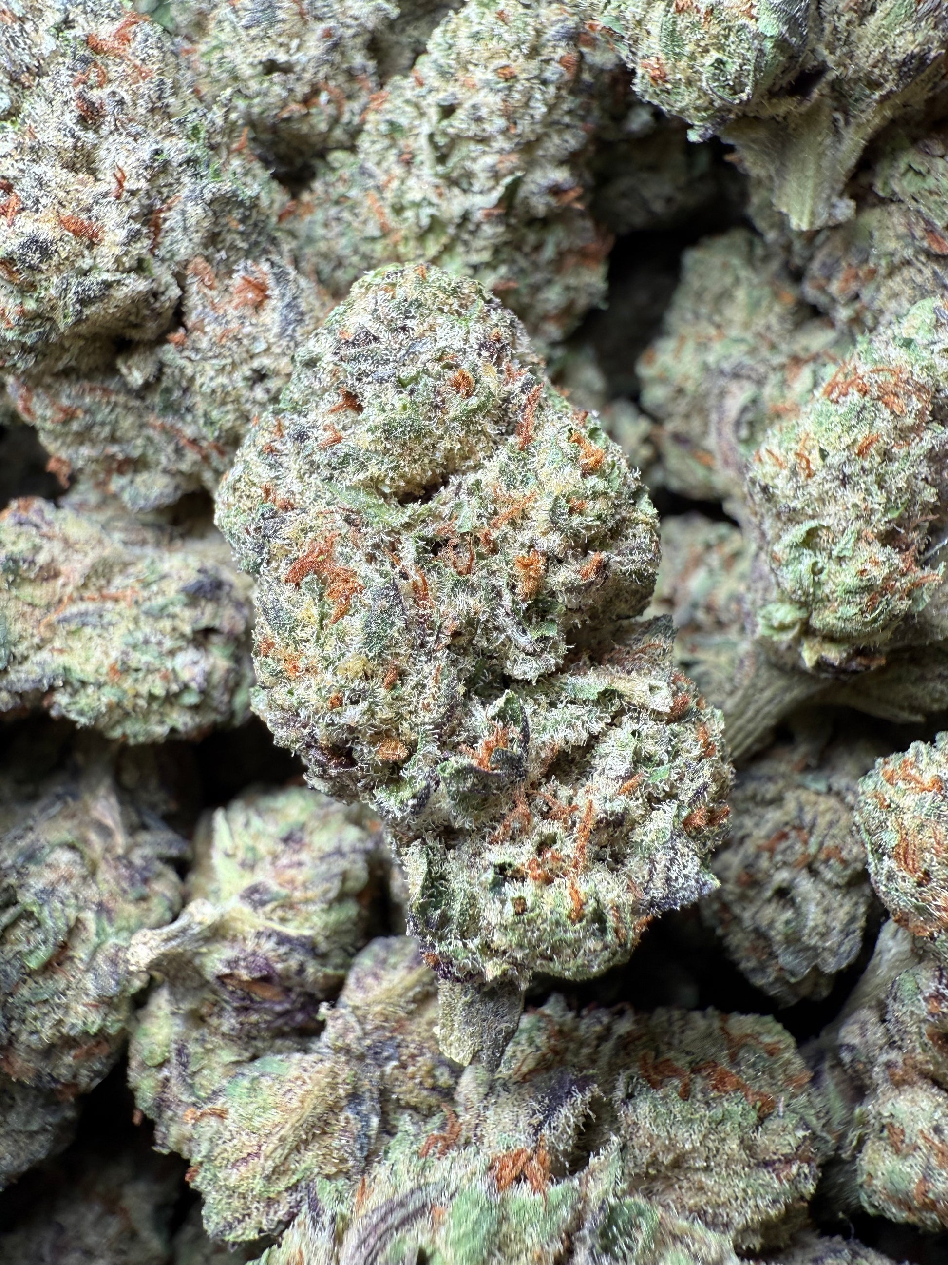 1 Pound - AAA - Los Angeles Kush Cake THCA FL Fulfillment Center