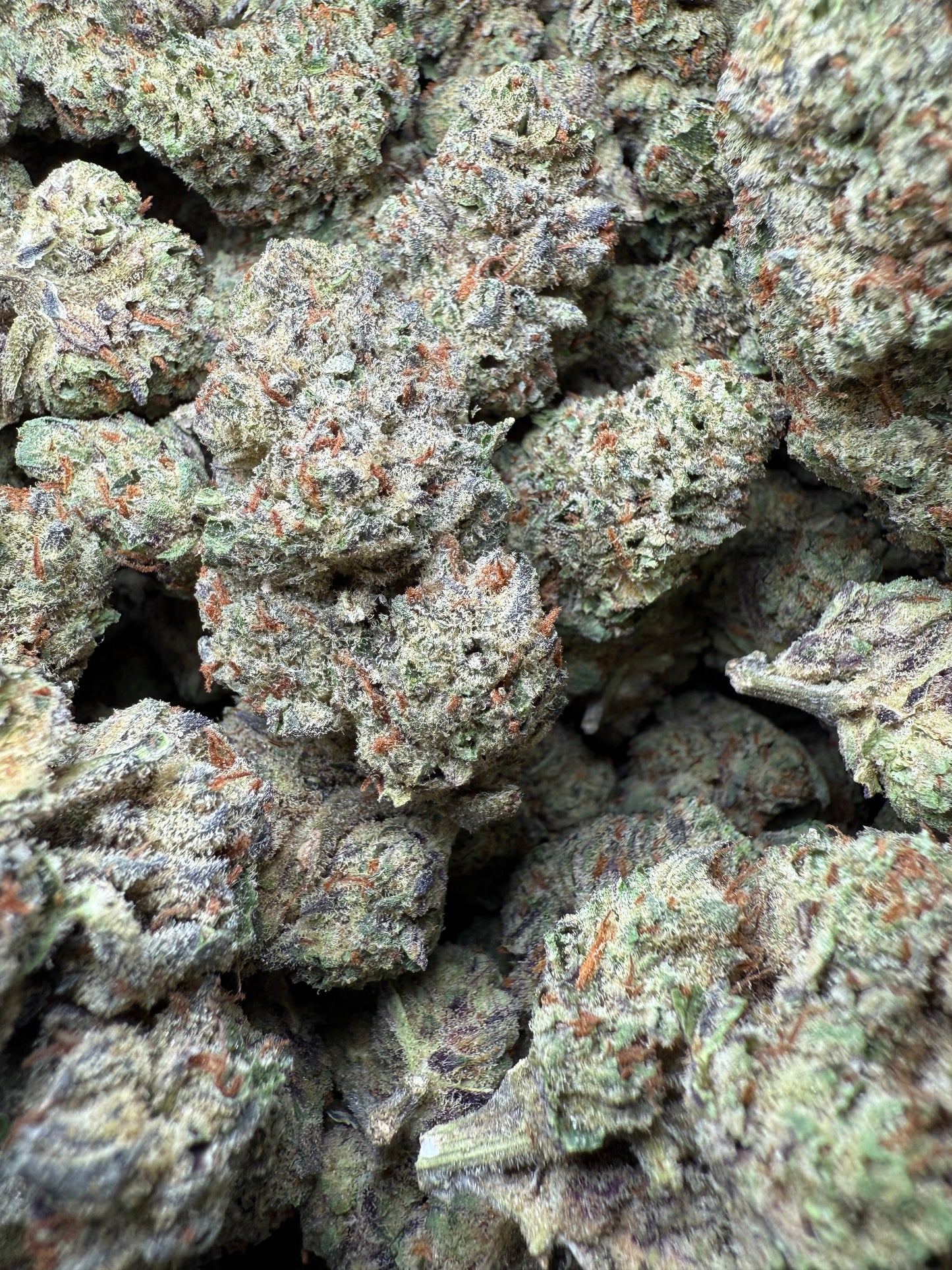 1 Pound - AAA - Los Angeles Kush Cake THCA FL Fulfillment Center