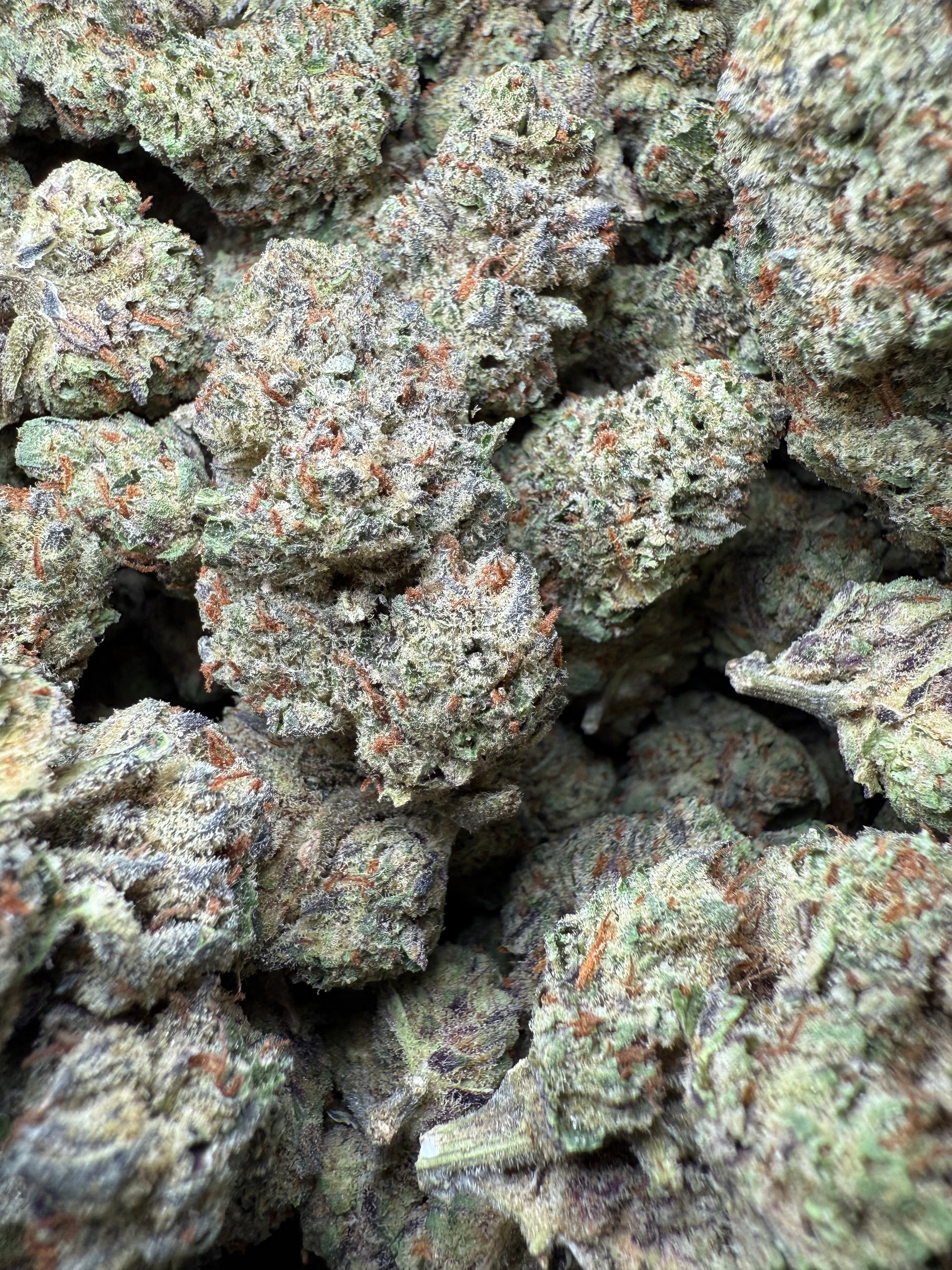 1 Pound - AAA - Los Angeles Kush Cake THCA FL Fulfillment Center
