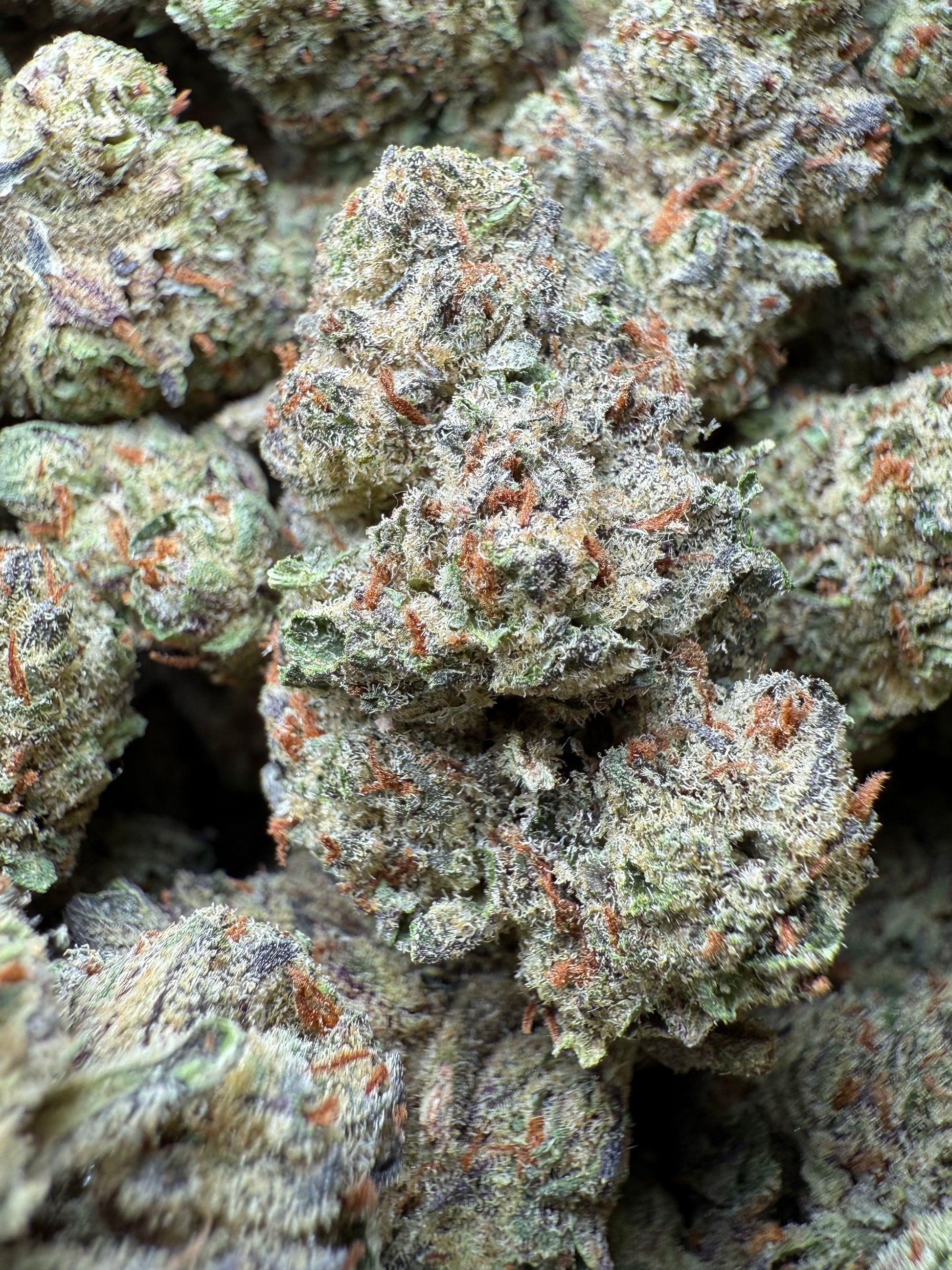 1 Pound - AAA - Los Angeles Kush Cake THCA FL Fulfillment Center