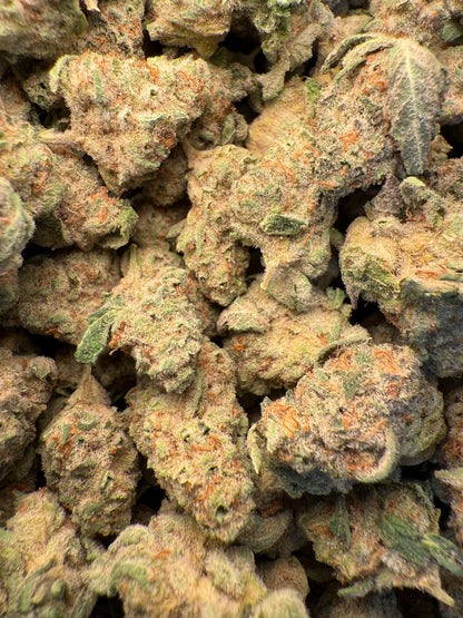 1 Pound - AAA Strawnana THCA Strain (Small) Frisco Labs