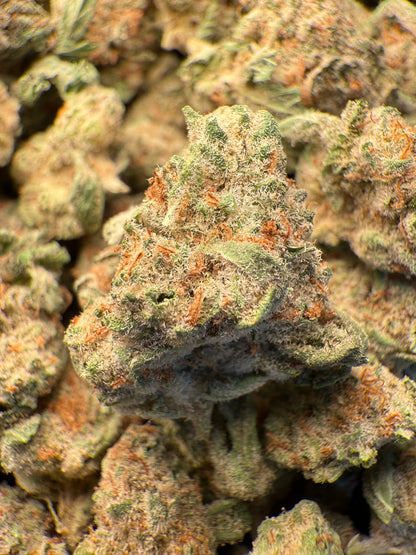 1 Pound - AAA Strawnana THCA Strain (Small) Frisco Labs