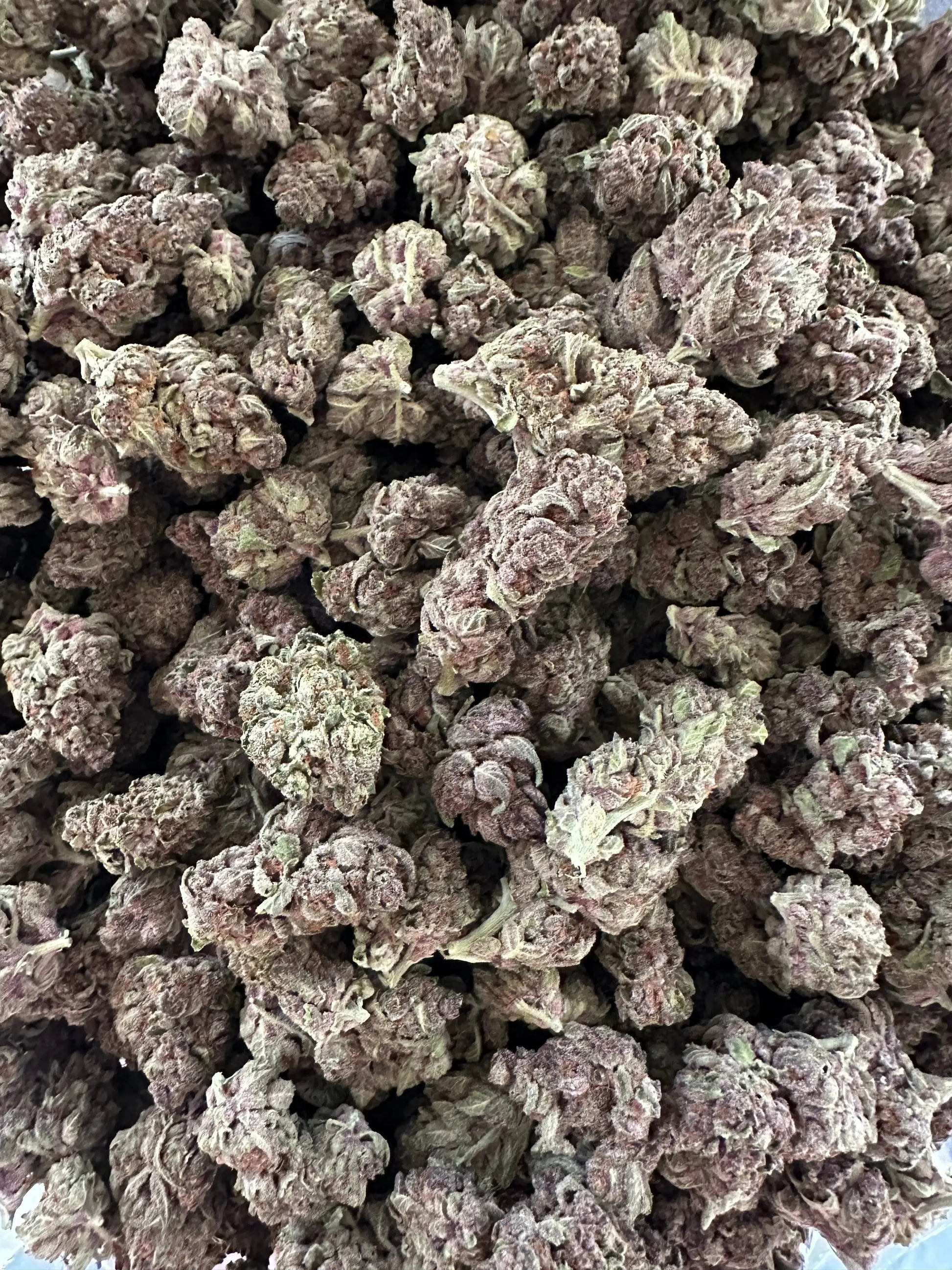 Frisco Labs - Exotic Indoor Tropicanna Cherry THCA 