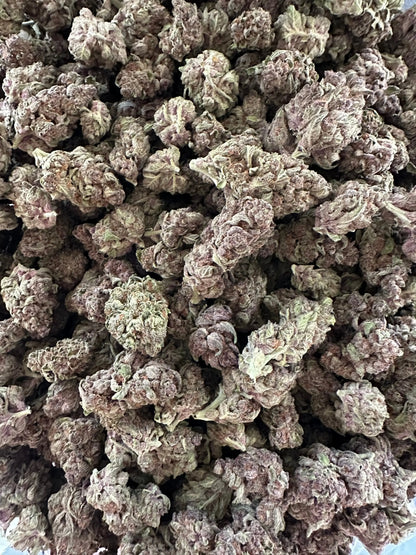 Frisco Labs - Exotic Indoor Tropicanna Cherry THCA 