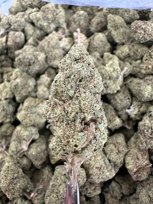 Frisco Labs - BCC Jealousy Strain THCA Frisco Labs