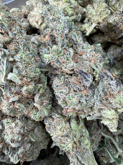 1 Pound -  Bahama Mama THCA Strain Frisco Labs