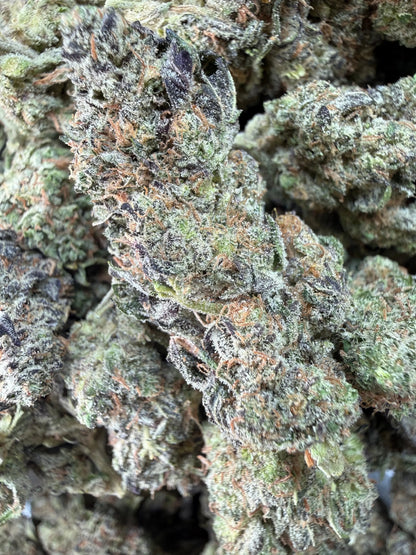 1 Pound -  Bahama Mama THCA Strain Frisco Labs